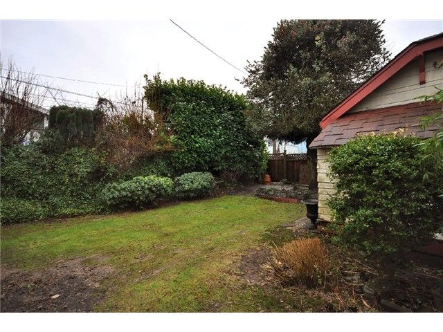 Rear yard before renovation — patchy lawn, overgrown hedging and original garage